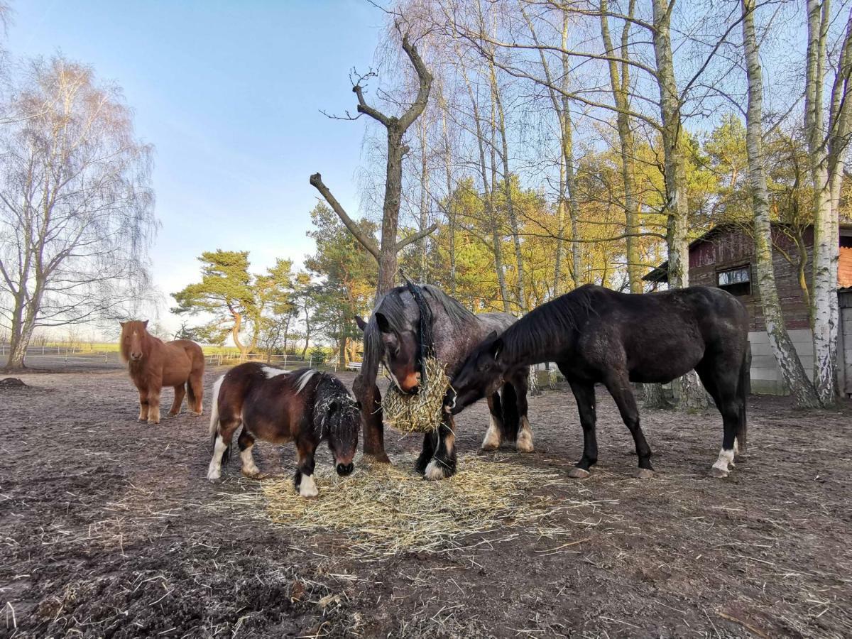 Doppelhaushaelfte Ostwind Vom Naturhof Usedom Bannemin Buitenkant foto